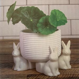 Plant riser : Three bunnies